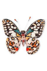 Trovelore Lime Swallowtail Butterfly Broche