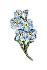Trovelore Forget me not Broche