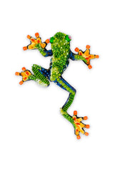 Trovelore Red Eyed Tree Frog Broche