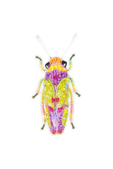 Trovelore Sharpshooter Beetle Broche