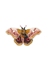Trovelore Emperor Mopane Moth Broche