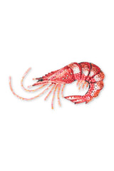 Trovelore True Shrimp Broche